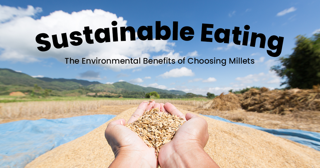 Sustainable Eating